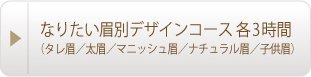 なりたい眉別デザインコース 各3時間（タレ眉／太眉／マニッシュ眉／ナチュラル眉／子供眉）